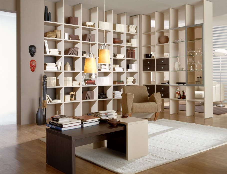 Необычные книжные шкафы и полки