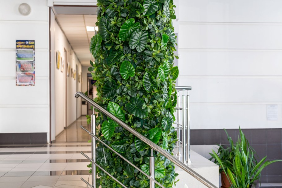 Лиана Шеффлера