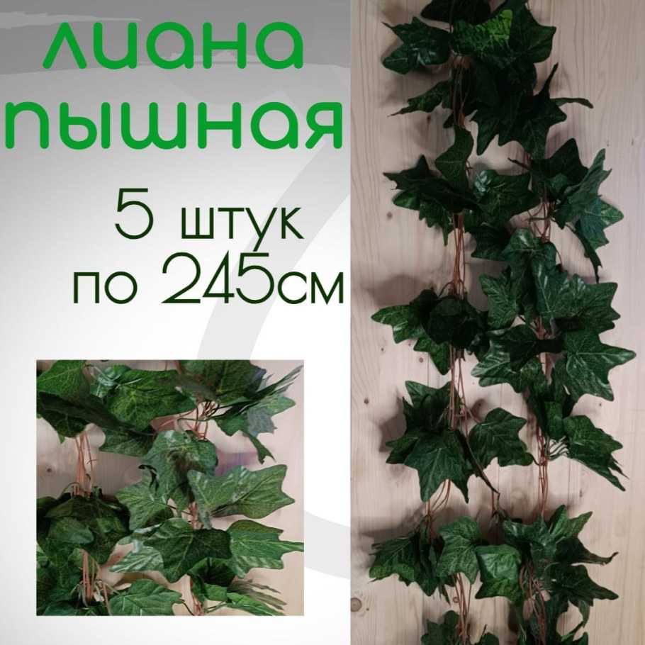 Венок из плюща Эстетика