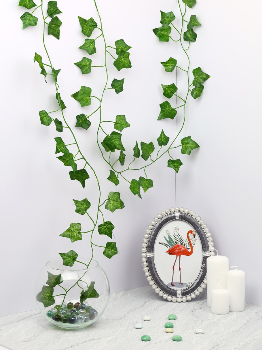 Лиана растение Лиана