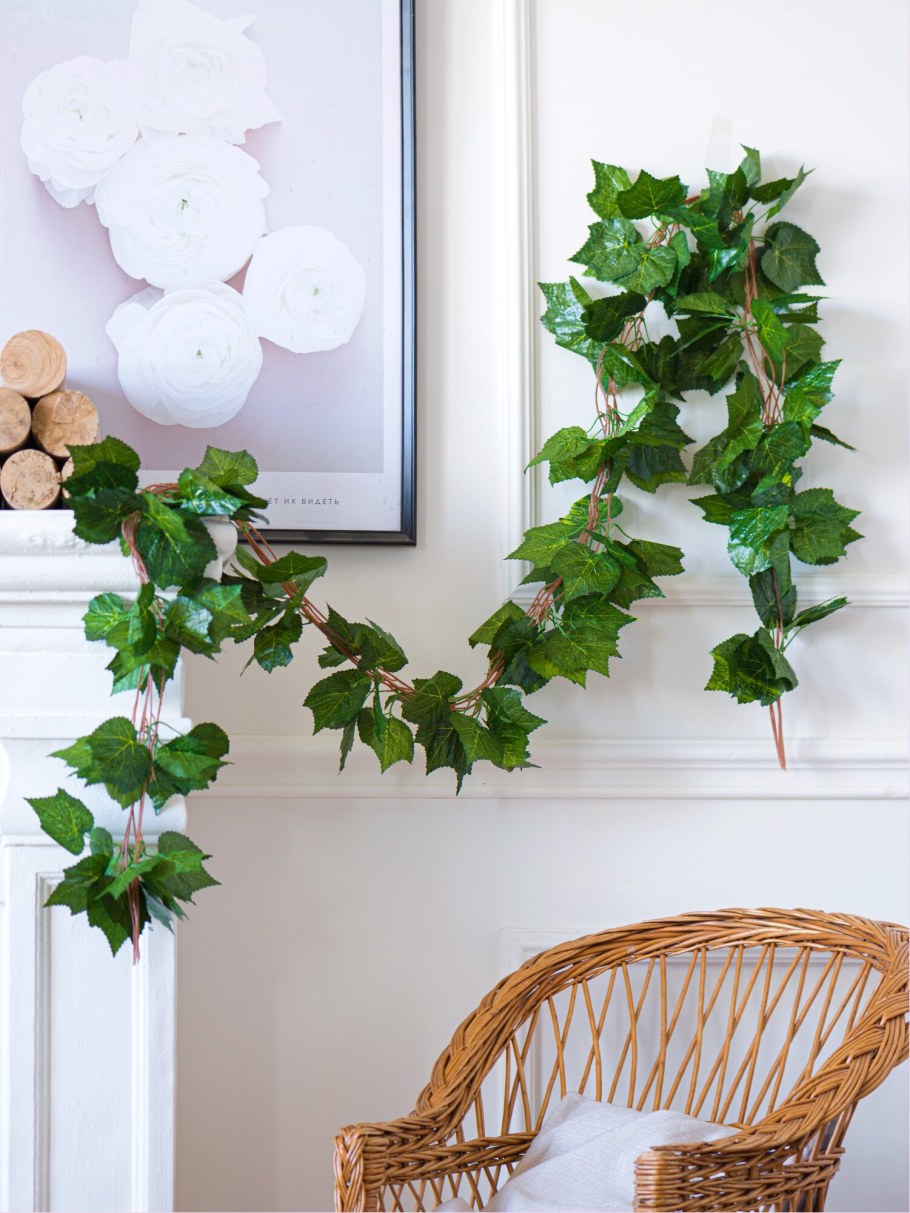 Лиана растение