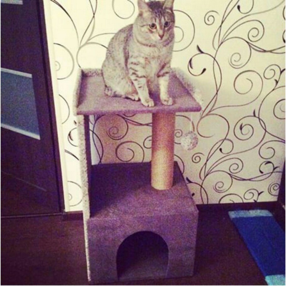 Дом для кошки своими руками