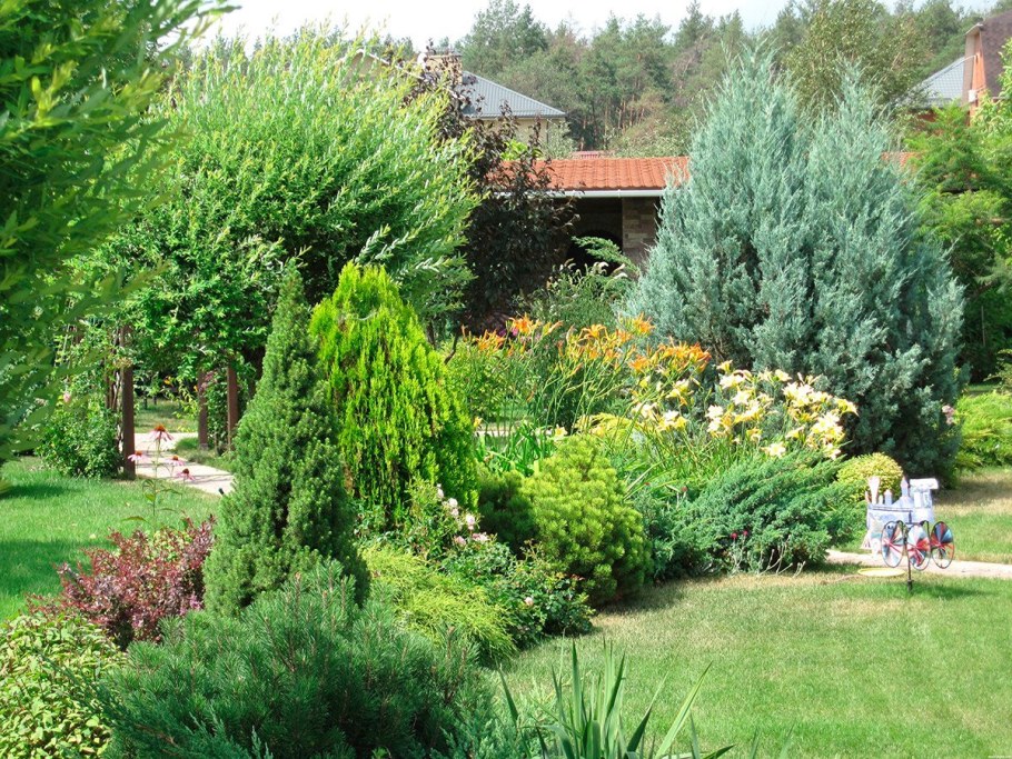 Миксбордер с можжевельником Стрикта