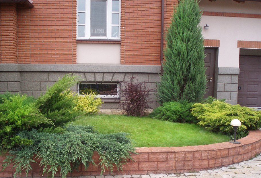 Миксбордер с туей Смарагд