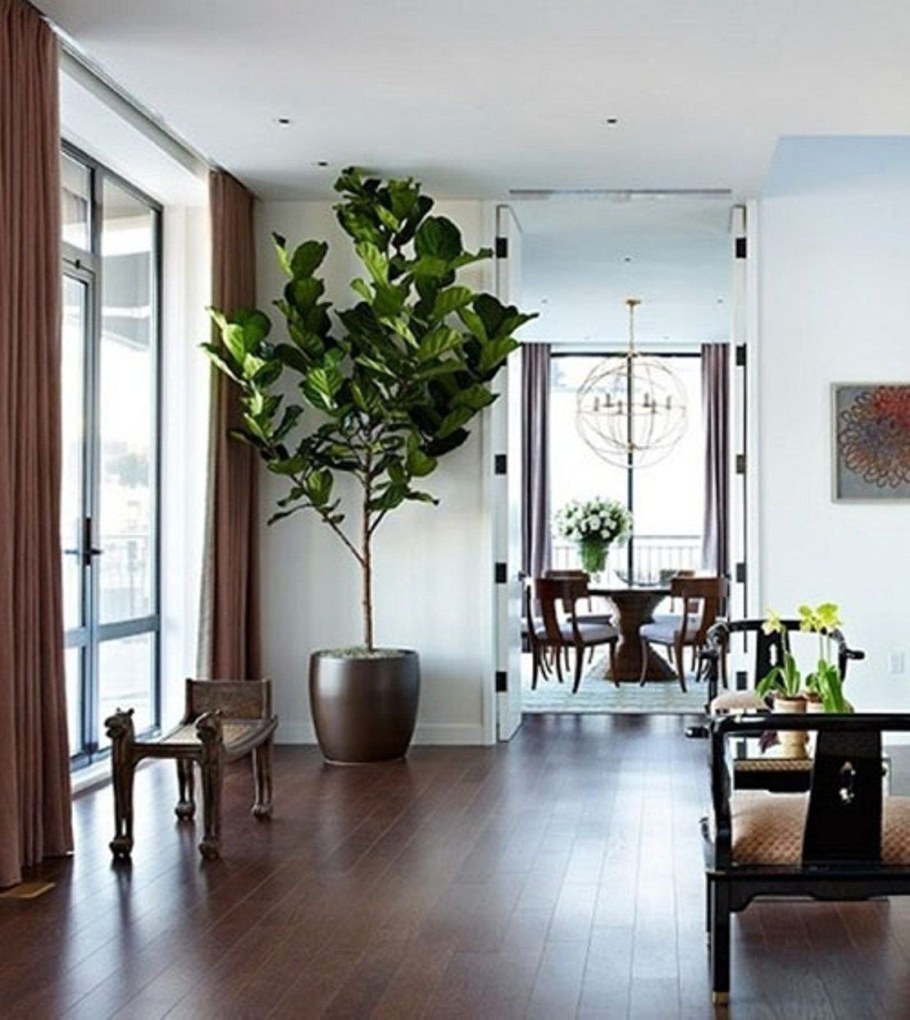 Цветы в горшках в гостиной