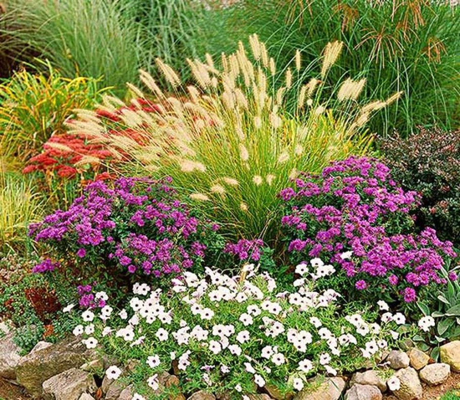 Миксбордер рокарий