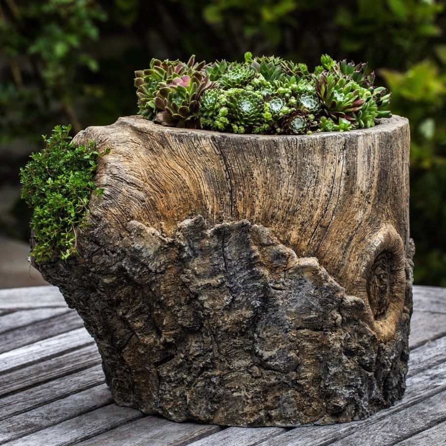 Рутарий с суккулентами