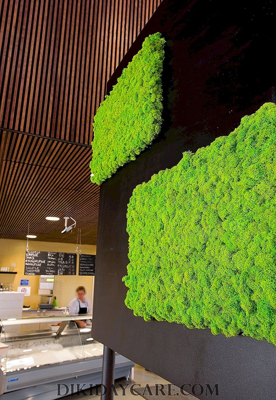 Стабилизационный мох