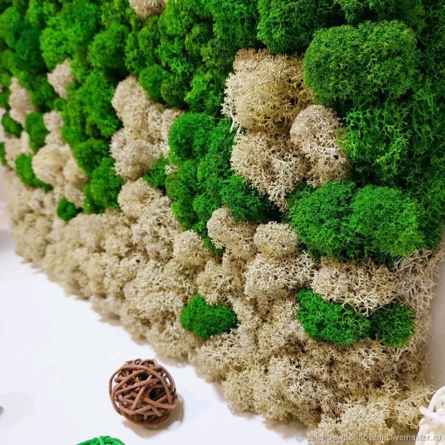 Белый стабилизированный мох ягель