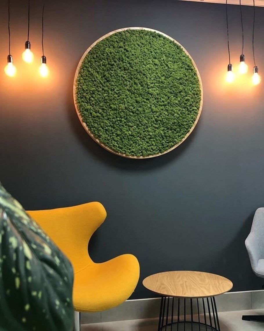 Стабилизированный мох в интерьере