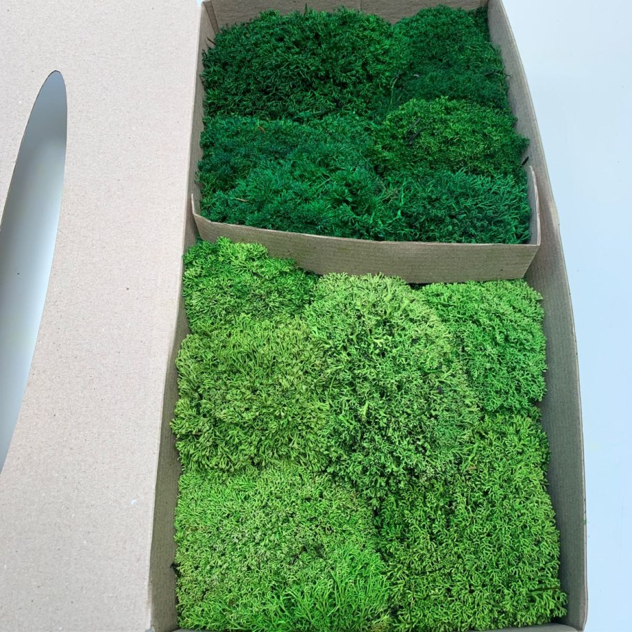 Мох ягель стабилизированный