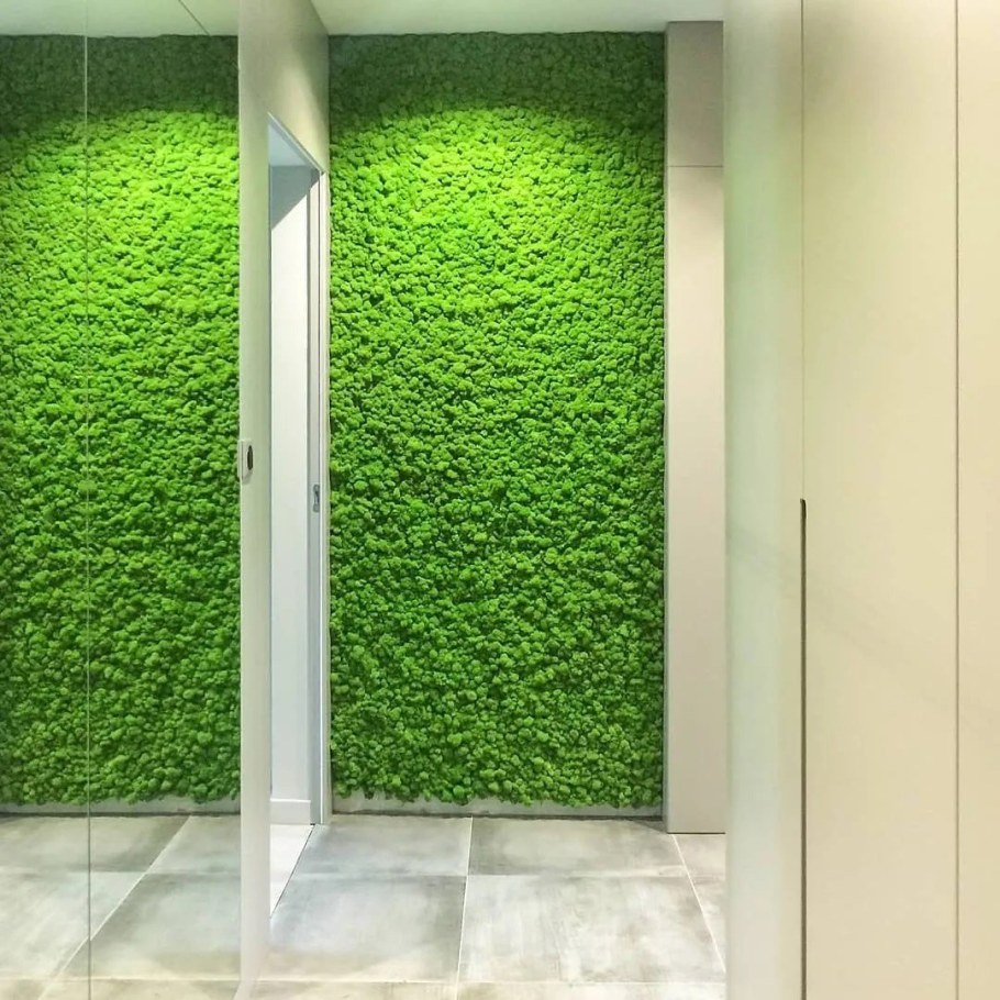 Фитостена из стабилизированного мха