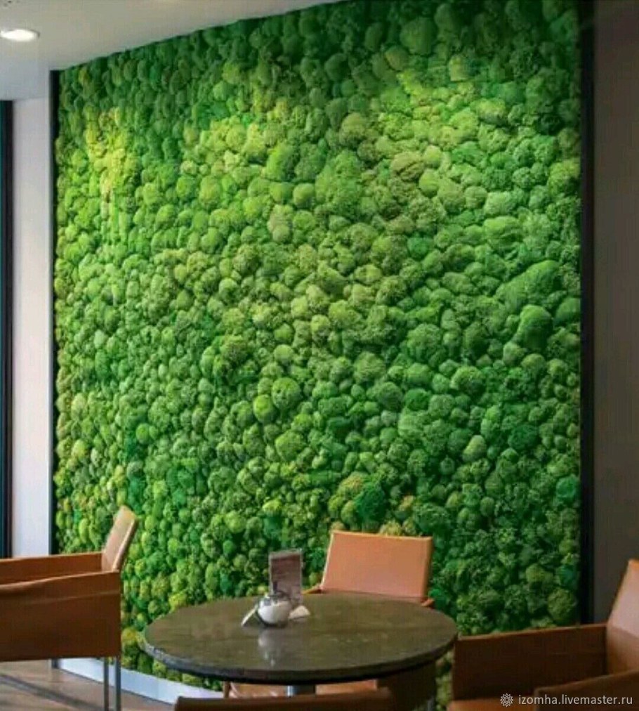 Мох в интерьере