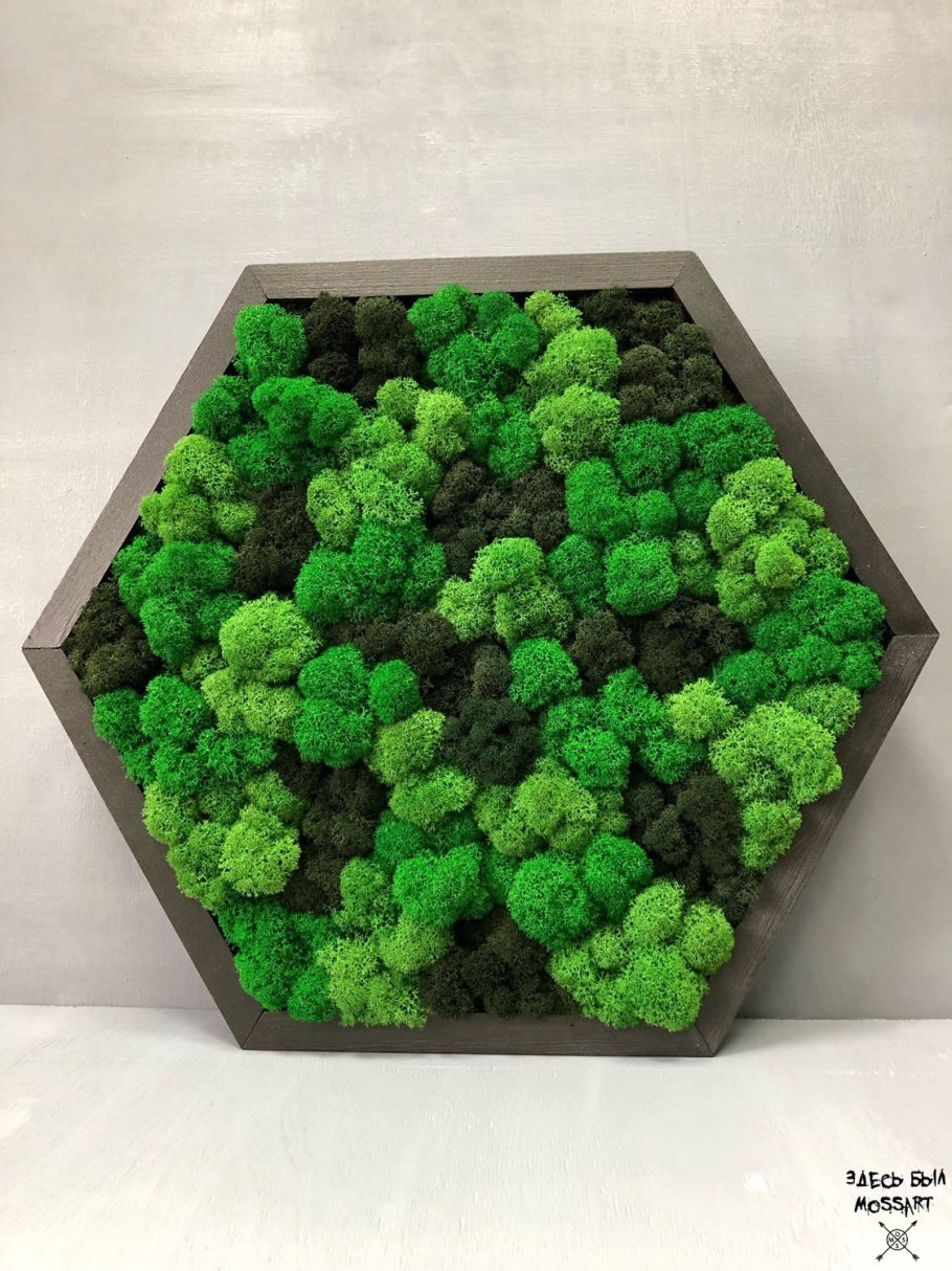 Мох ягель васаби