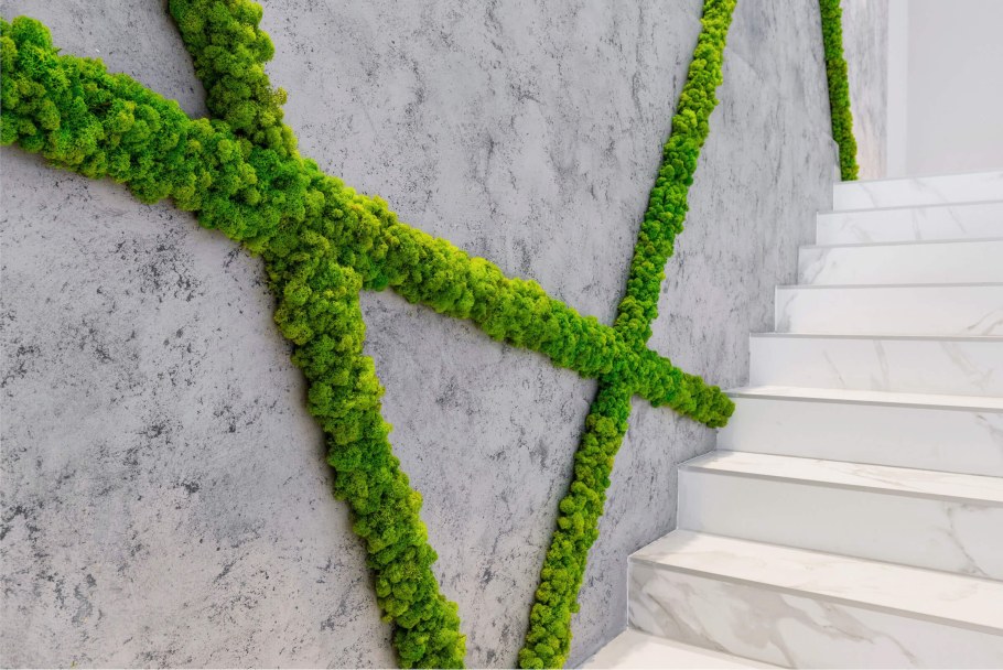 Панели из стабилизированного мха