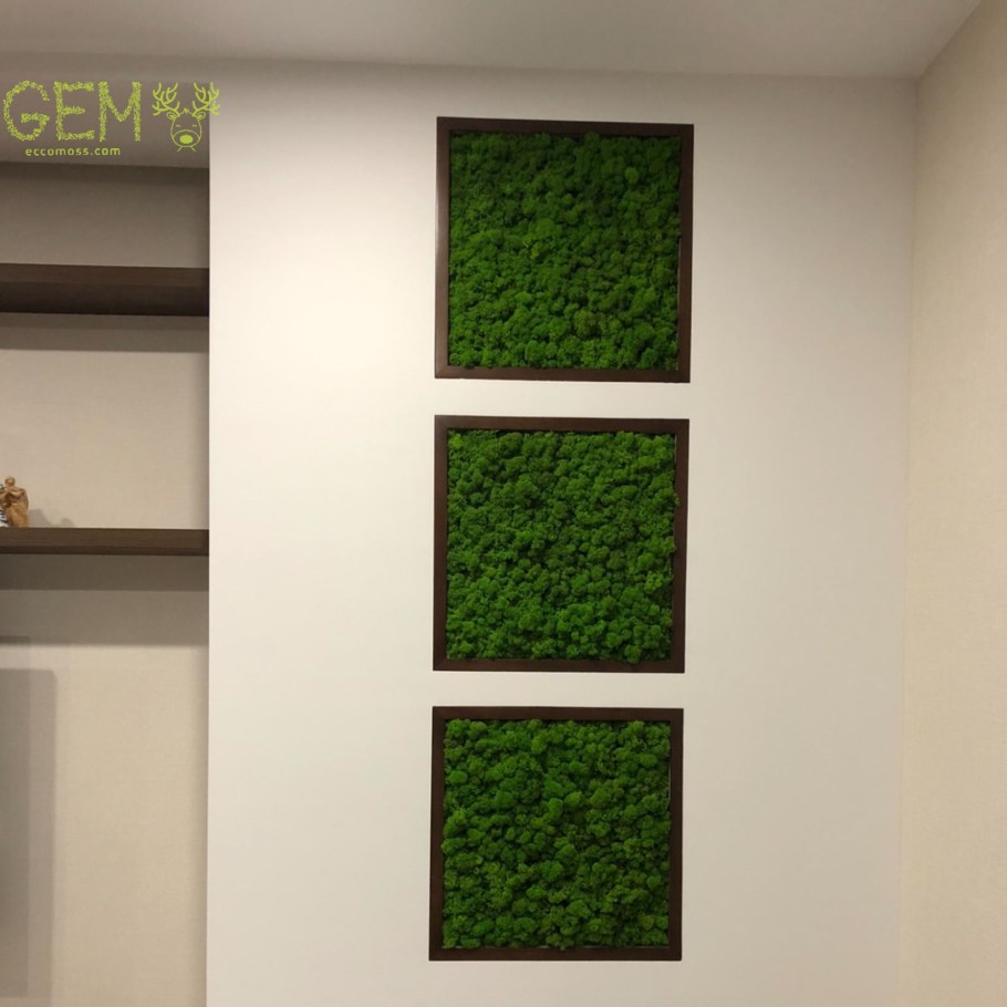 Мох Грин Мос