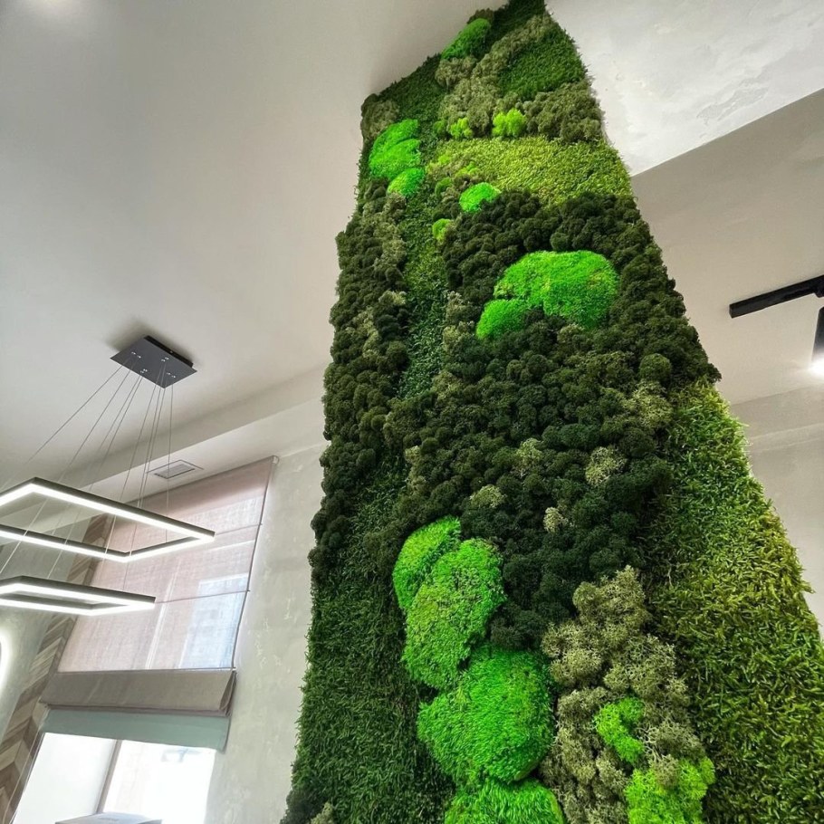 Фитостена мох стабилизированный