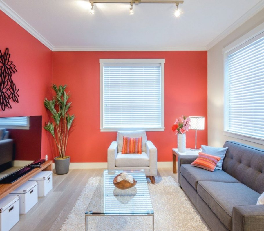 Покрашенные стены в интерьере