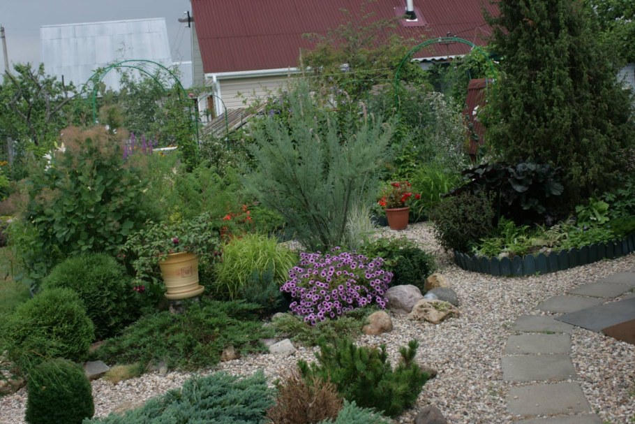 Мирикария в миксбордере