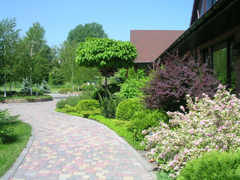 Малоуходный сад Александр Сапелин