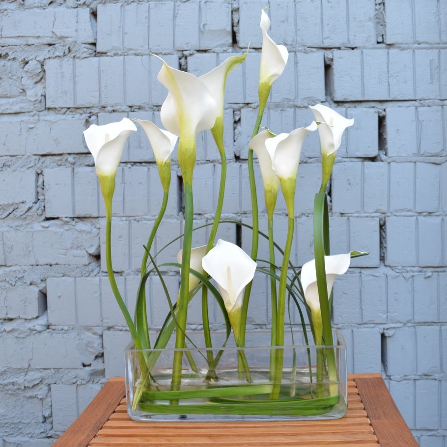 Калла микс Леруа