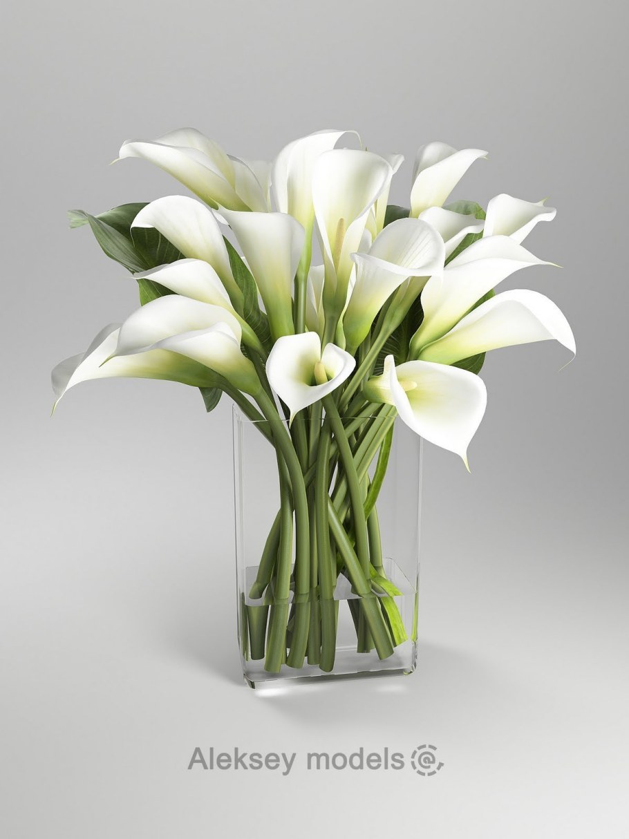 Каллы в интерьере