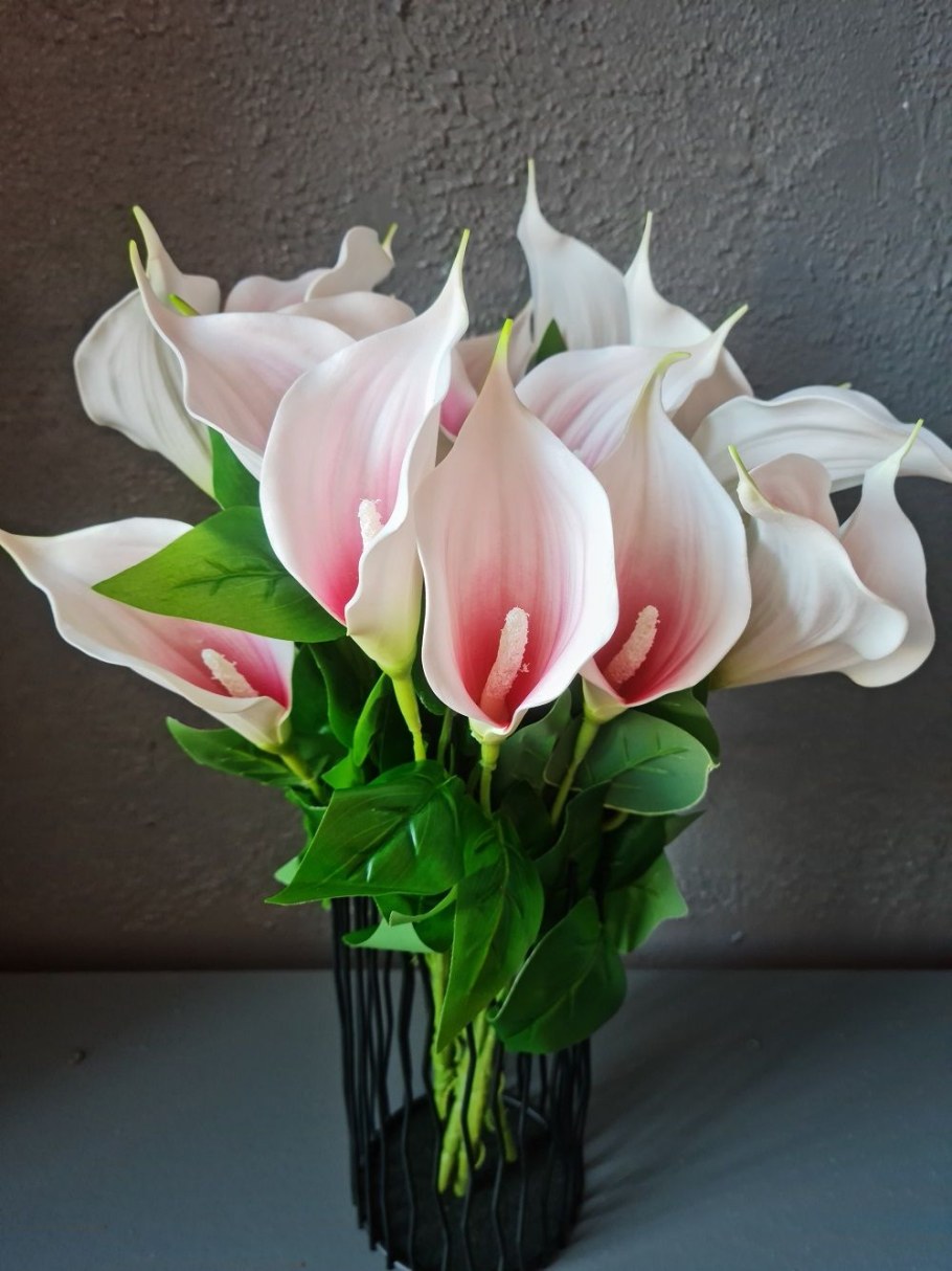 Калла белая