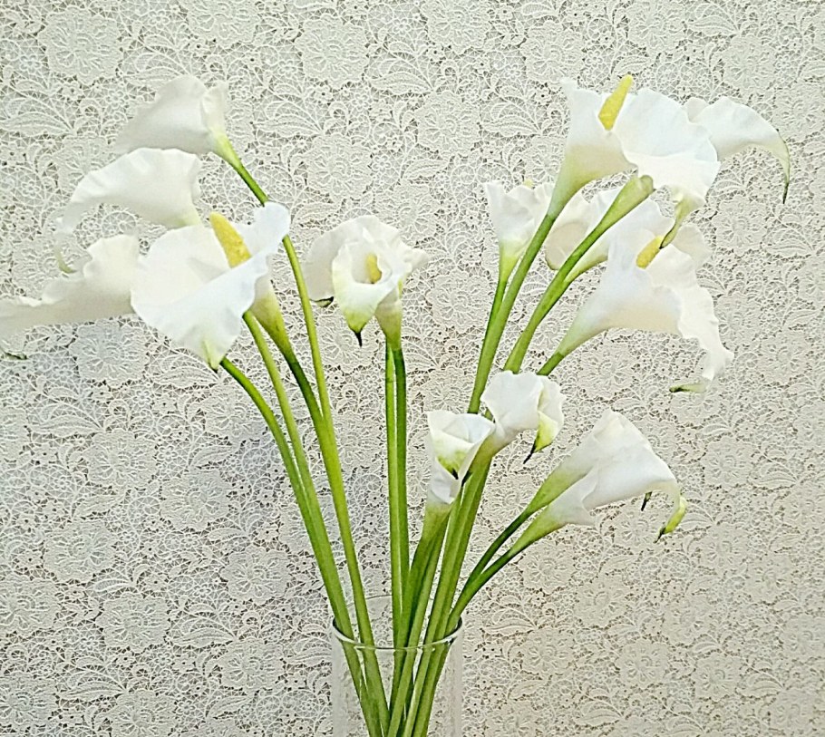 Каллы в оазисе