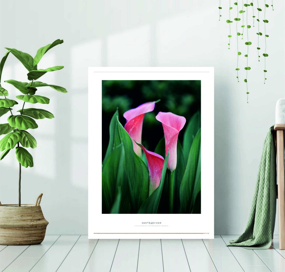 Постеры цветы для интерьера