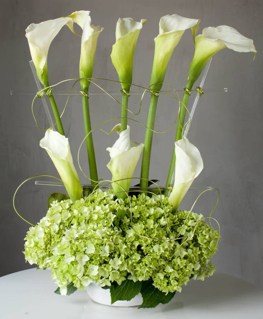 Калла камео