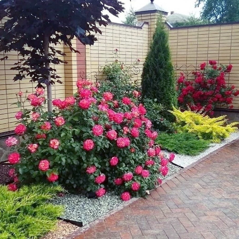 Розариум в ландшафте