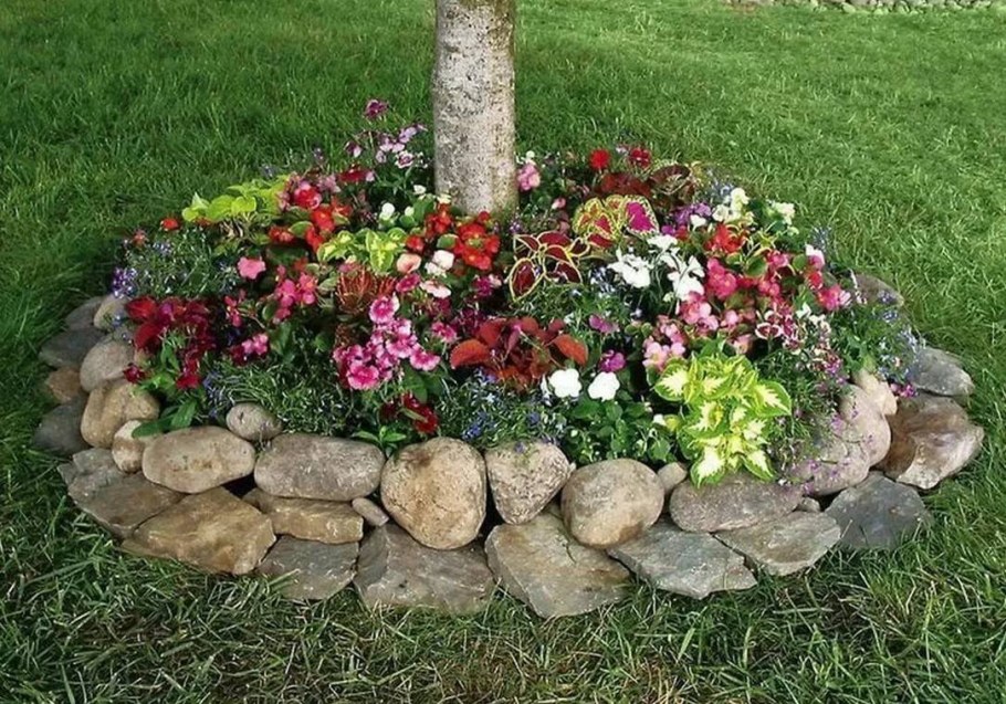 Клумба около приствольного круга