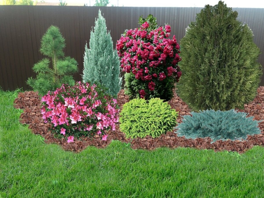 Можевельник бою эроу комарзиции