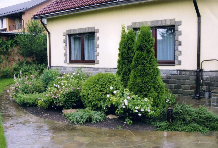 Туя Смарагд и гортензия в ландшафтном