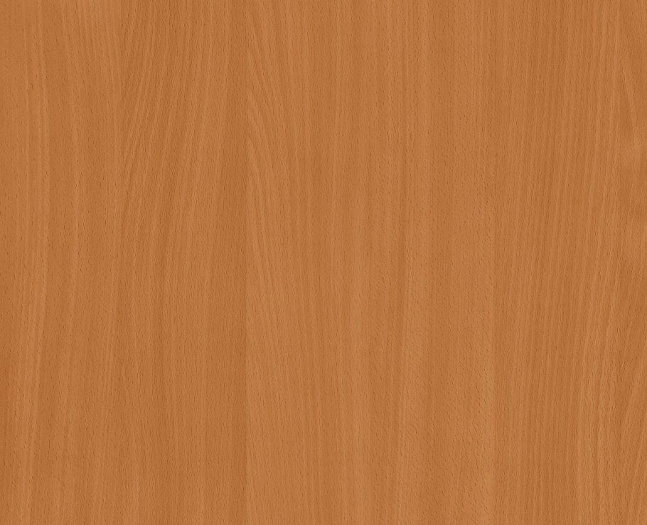 Бук Бавария h1511