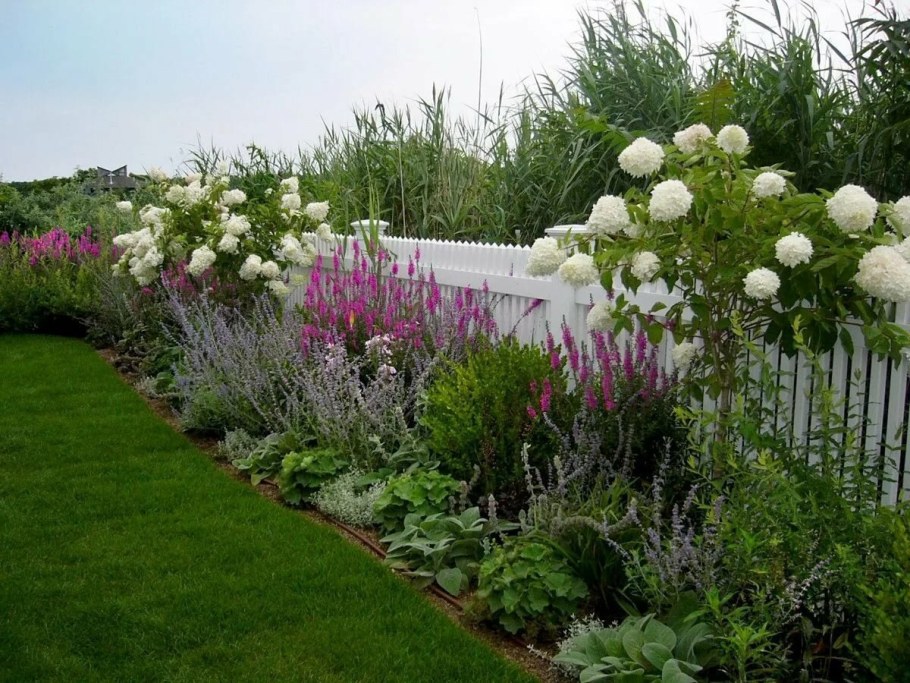 Миксбордер с пионами и гортензией