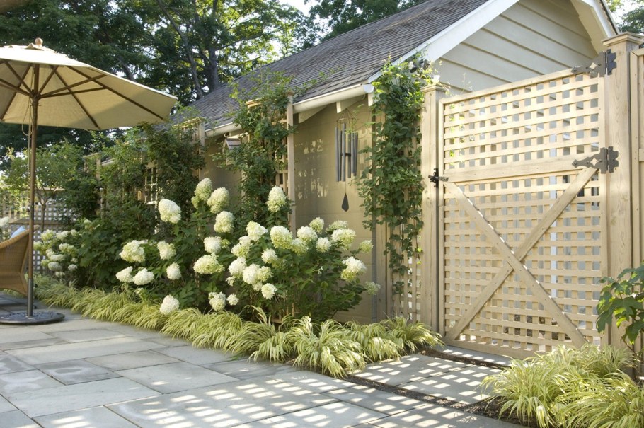 Гортензия Анабель Палисад