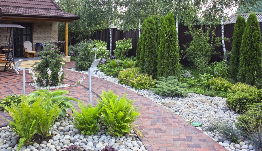 Рокарий вдоль забора