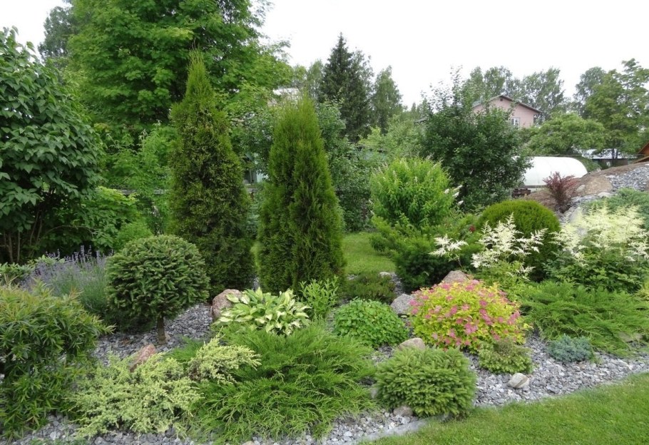 Можжевельник казацкий альпинарий