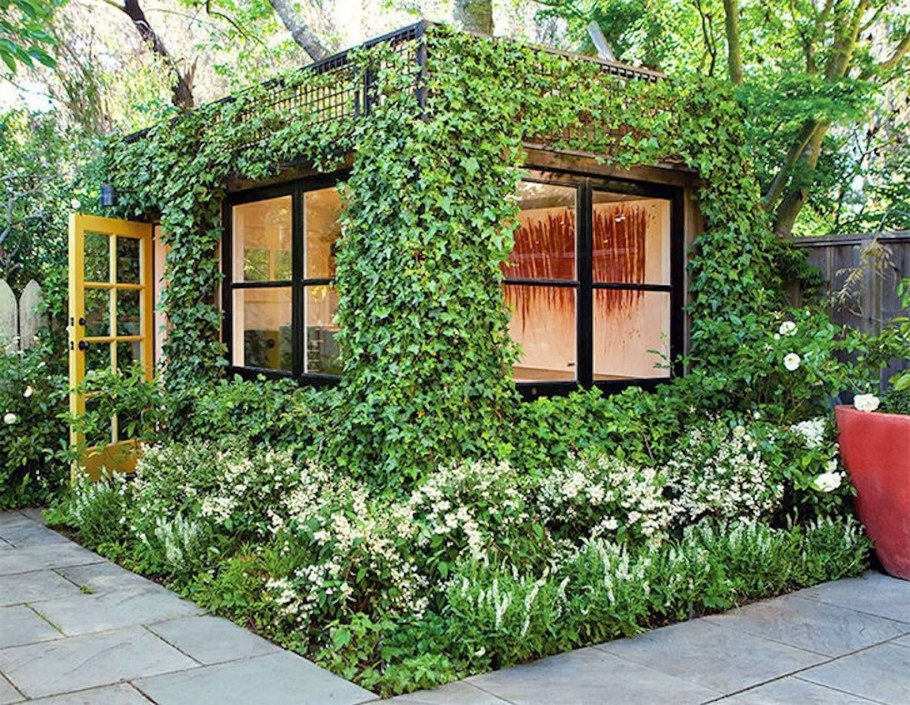 Плющ Элегантиссима