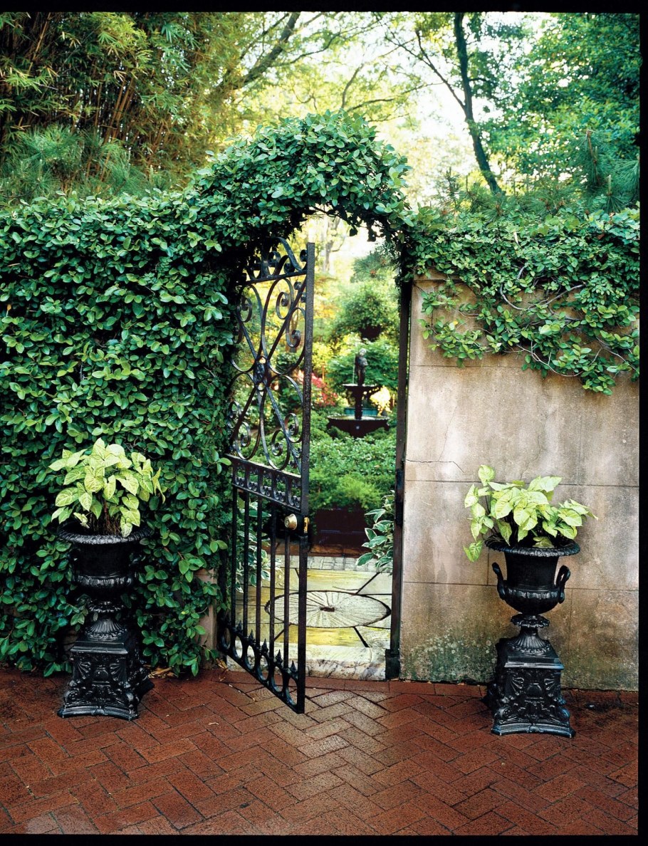 Пергола увитая плющом