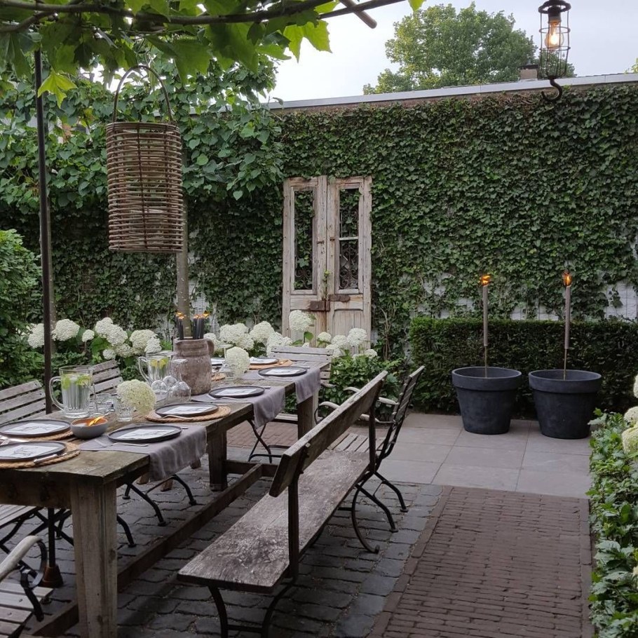 Плющ на террасе