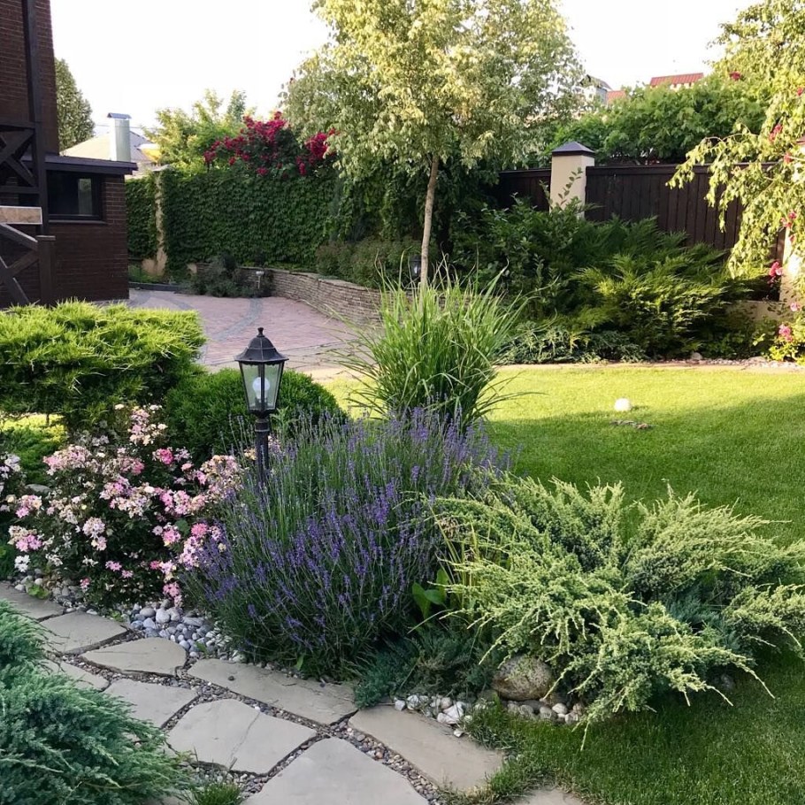 Можжевельник Блю Арроу миксбордер