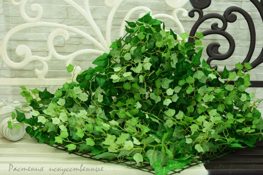 Обои Белорусские плющ