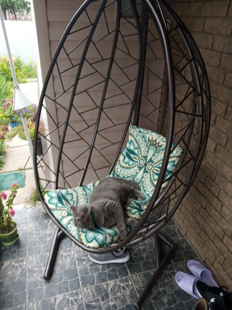 Качели кокон