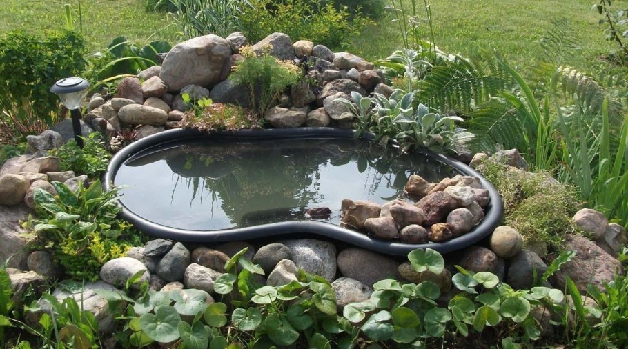 Альпийская горка + сад камней + пруд