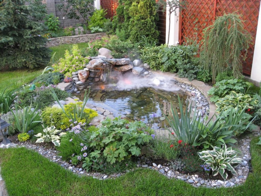 Хвойники хосты пруд