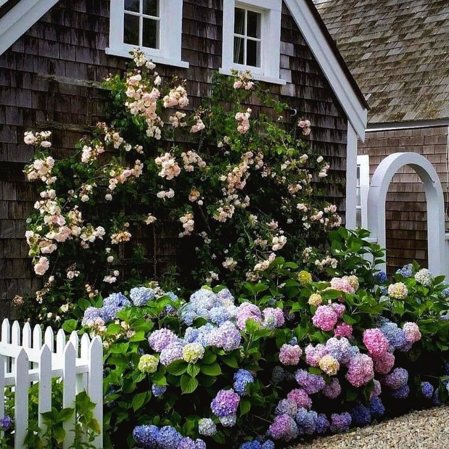 Домик гортензия Шеварднадзе