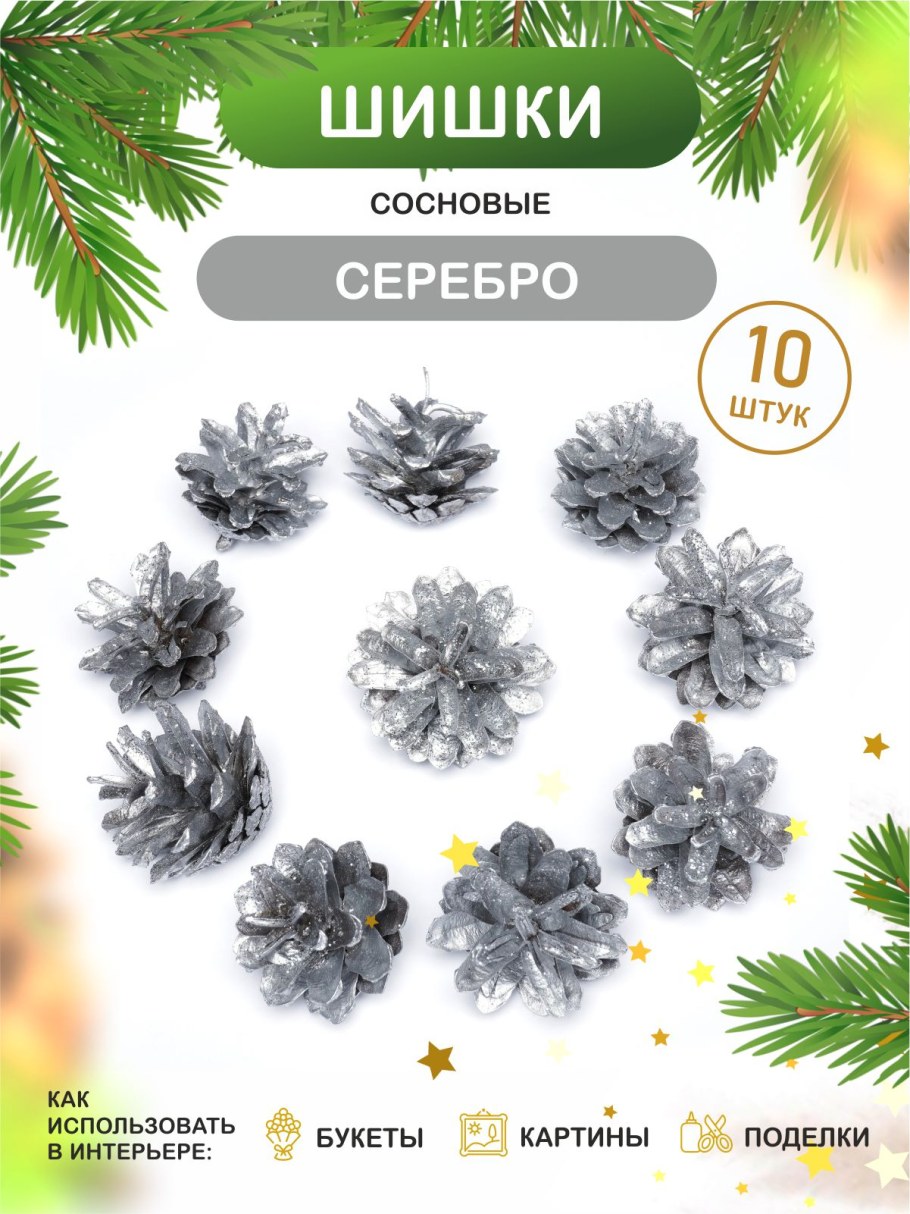 Сосна Крымская шишка