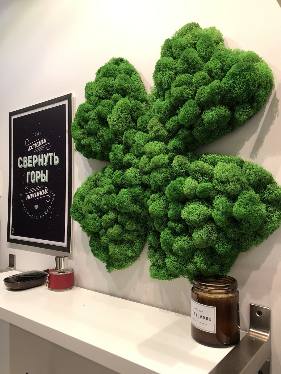 Стабилизированный мох панно